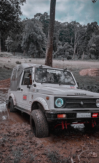 梅西：我很了解温哥华白浪，有了穆勒他们更上一层楼